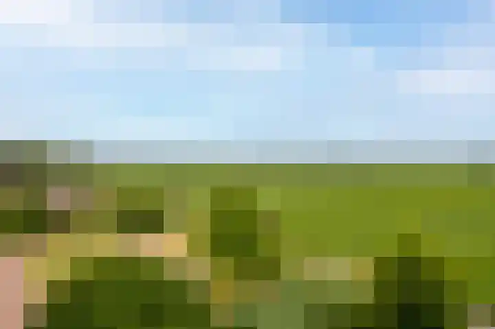 Roerdompstraat 27 Schelluinen thumbnail 5