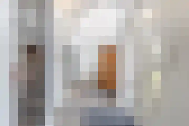 Roerdompstraat 27 Schelluinen thumbnail 7