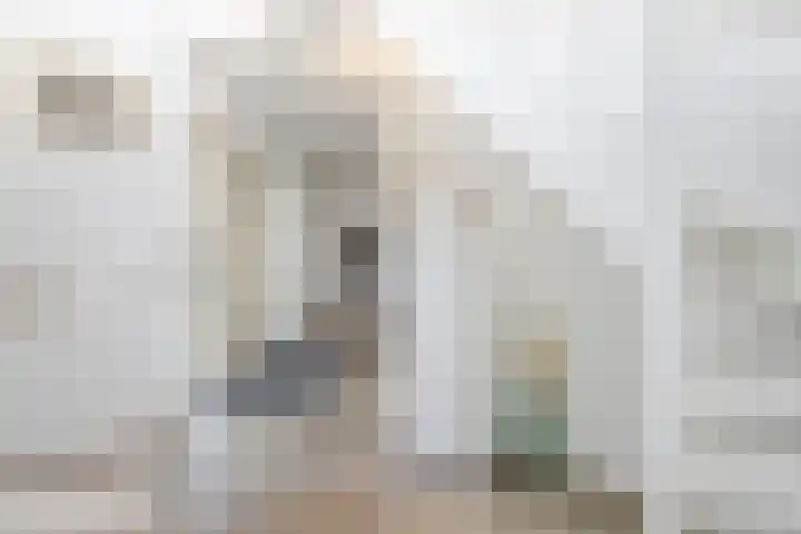 Roerdompstraat 27 Schelluinen thumbnail 8
