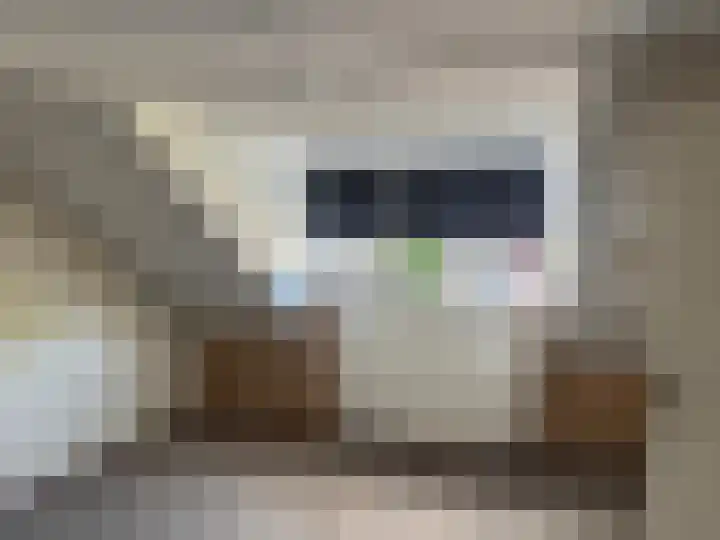 Roerdompstraat 32 Zwijndrecht thumbnail 26