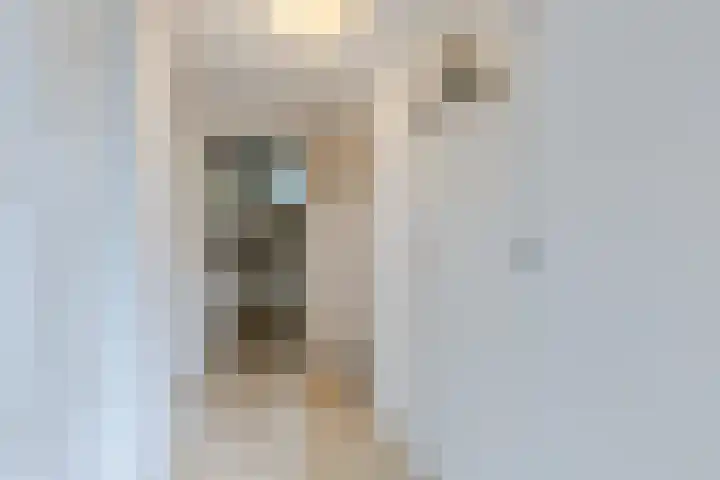 Roerdompstraat 33 Westzaan thumbnail 21