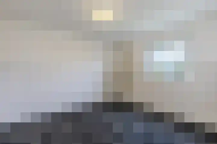 Roerdompstraat 33 Westzaan thumbnail 31