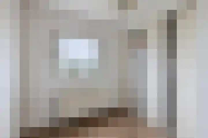Roerdompstraat 33 Westzaan thumbnail 33