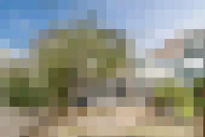 Roerdompstraat 33 Westzaan thumbnail 36