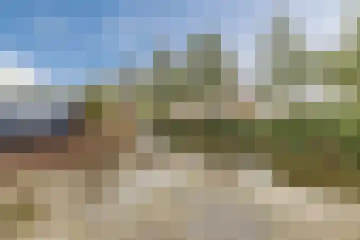 Roerdompstraat 33 Westzaan thumbnail 38