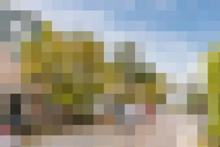 Roerdompstraat 33 Westzaan thumbnail 7