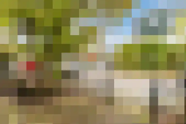 Roerdompstraat 33 Westzaan thumbnail 8
