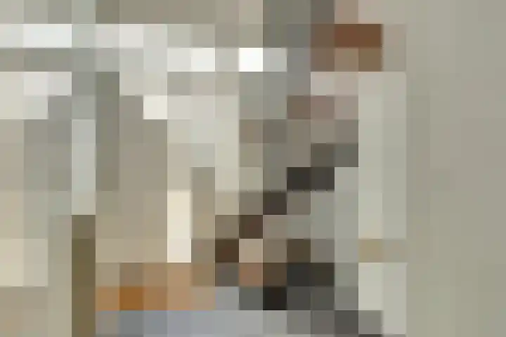 Roerdompstraat 34 Enkhuizen thumbnail 5