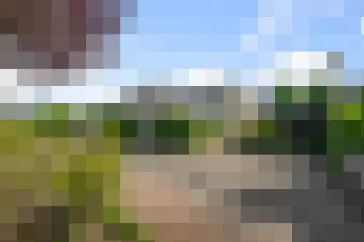 Roerdompstraat 34 Wormer