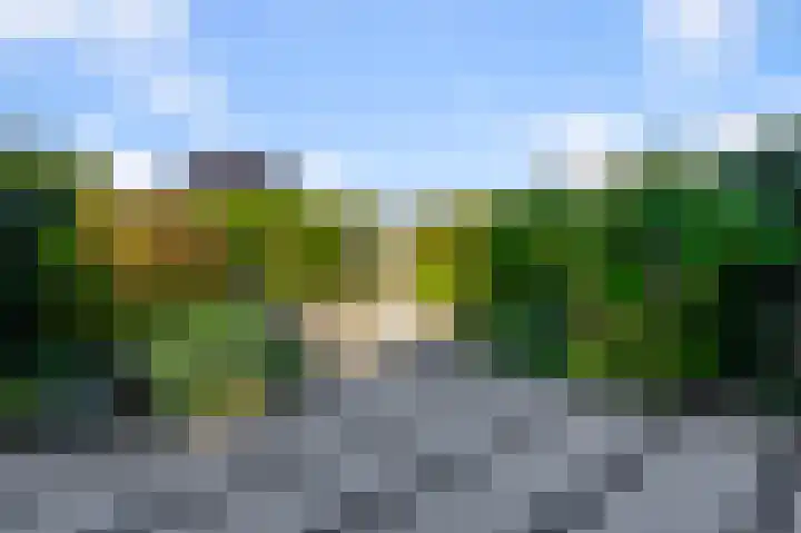 Roerdompstraat 34 Wormer thumbnail 13