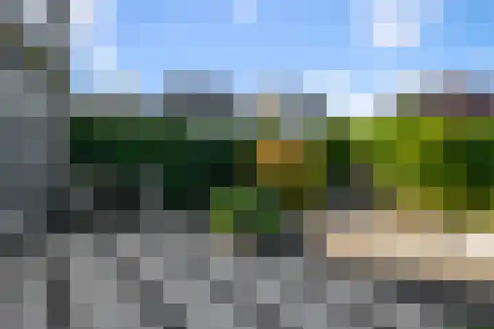 Roerdompstraat 34 Wormer thumbnail 14