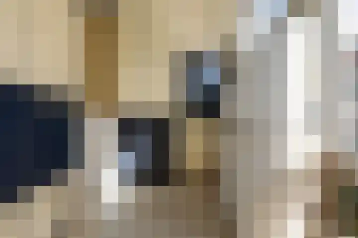 Roerdompstraat 34 Wormer thumbnail 16