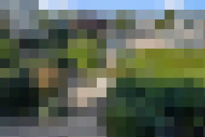 Roerdompstraat 34 Wormer thumbnail 30