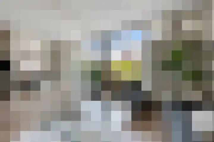 Roerdompstraat 34 Wormer thumbnail 5