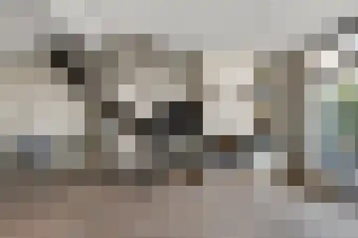 Roerdompstraat 34 Wormer thumbnail 6