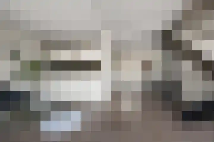 Roerdompstraat 34 Wormer thumbnail 8