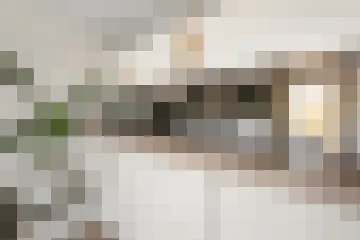 Roerdompstraat 34 Wormer thumbnail 9
