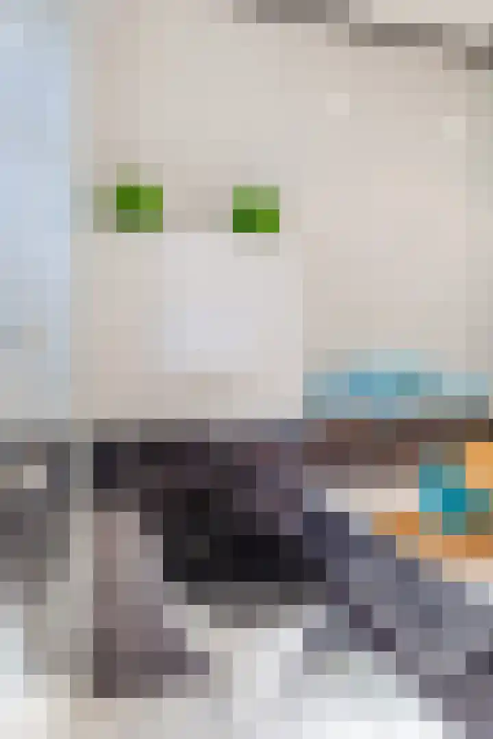 Roerdompstraat 37 Westzaan thumbnail 32