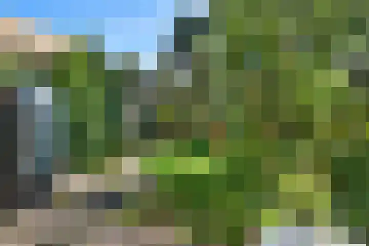 Roerdompstraat 37 Westzaan thumbnail 35