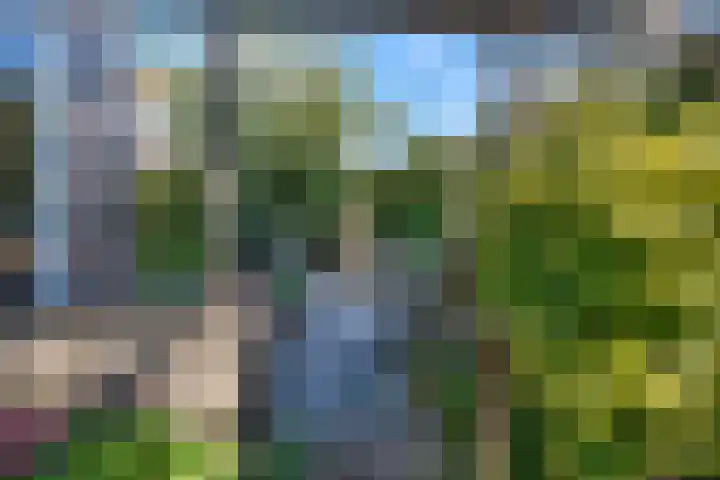 Roerdompstraat 37 Westzaan thumbnail 36