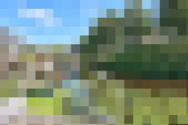Roerdompstraat 37 Westzaan thumbnail 37