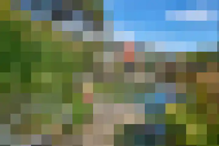 Roerdompstraat 37 Westzaan thumbnail 38