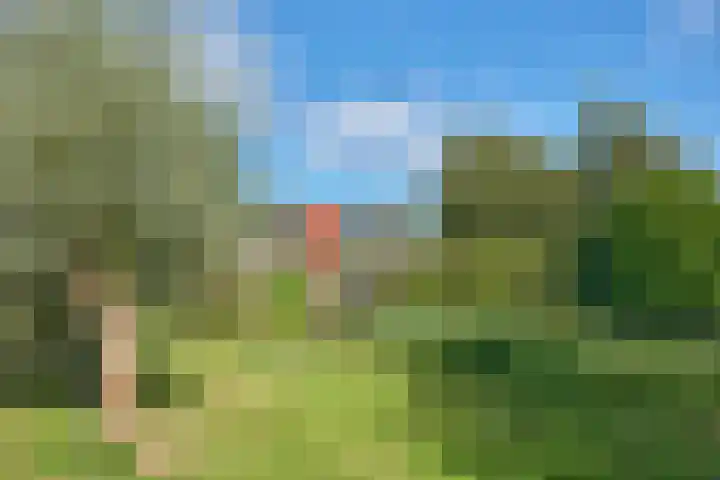 Roerdompstraat 37 Westzaan thumbnail 39