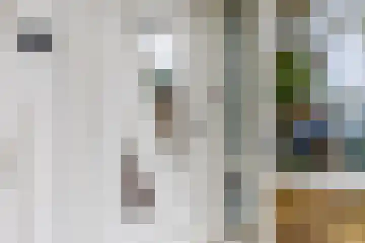 Roerdompstraat 37 Westzaan thumbnail 7