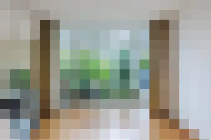Roerdompstraat 37 Westzaan thumbnail 9
