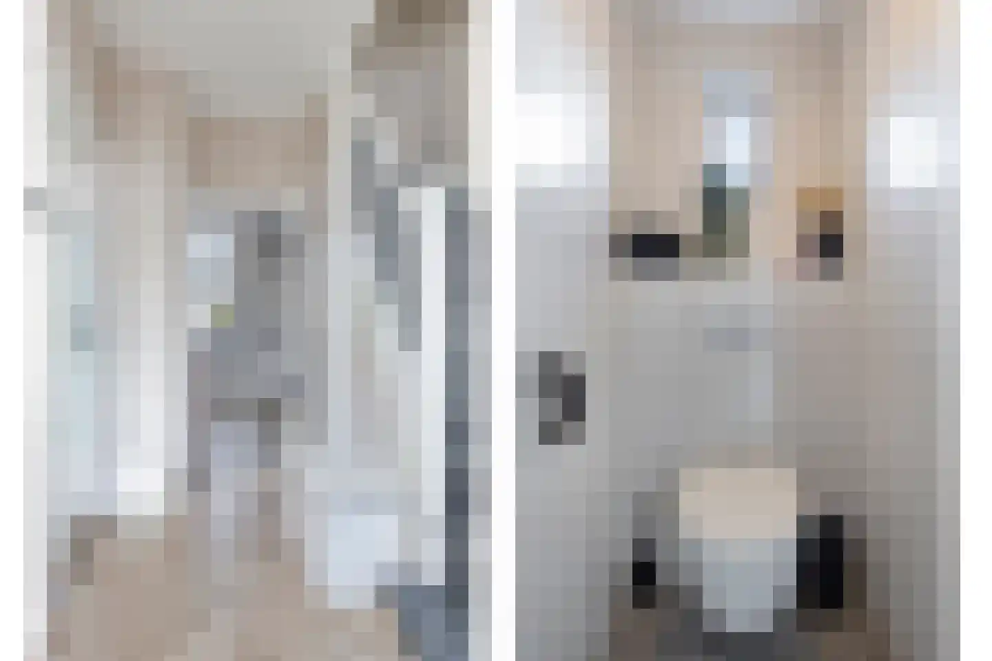 Roerdompstraat 4 Foxhol thumbnail 18