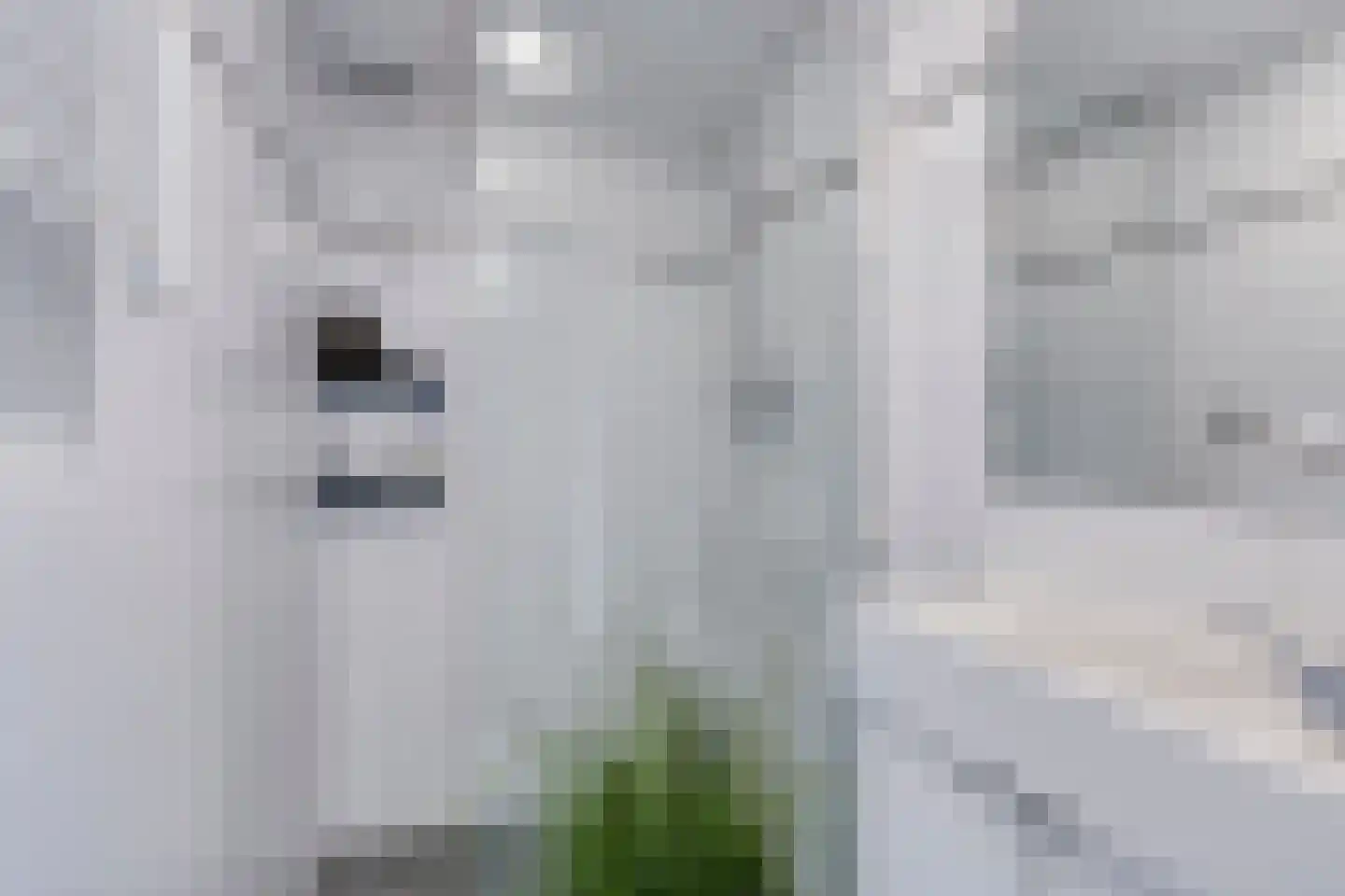 Roerdompstraat 4 Foxhol thumbnail 24