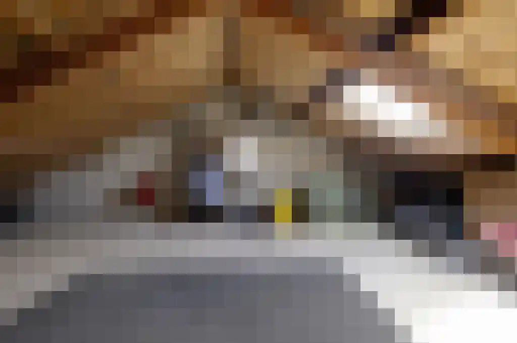 Roerdompstraat 4 Foxhol thumbnail 26