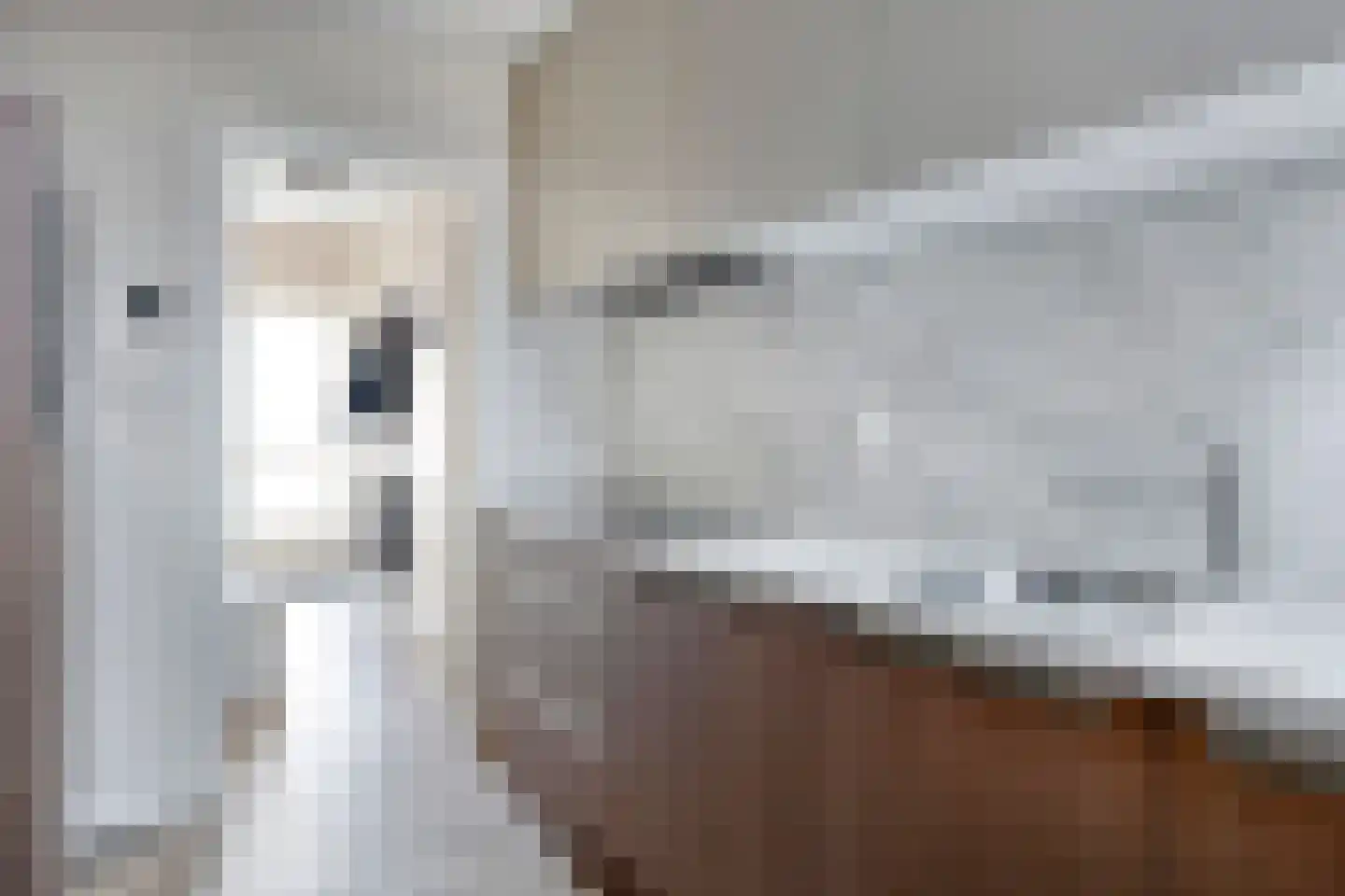 Roerdompstraat 4 Foxhol thumbnail 4