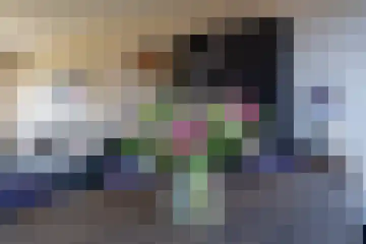 Roerdompstraat 4 Ten Boer thumbnail 14