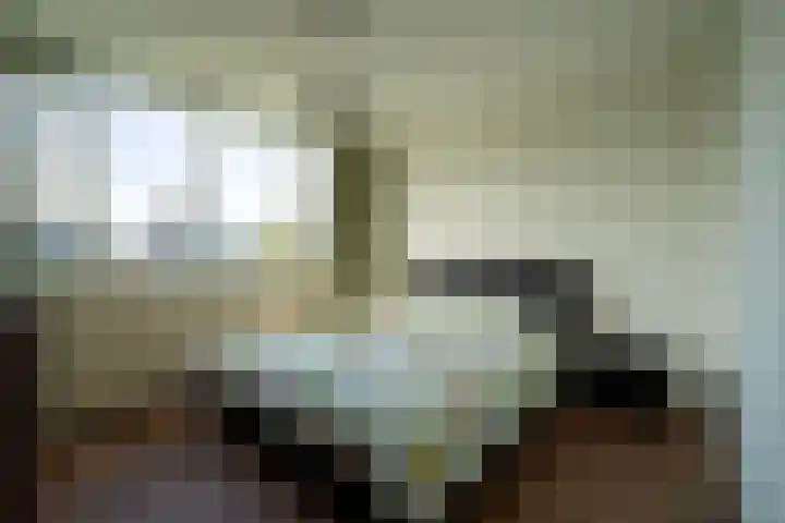 Roerdompstraat 4 Ten Boer thumbnail 23