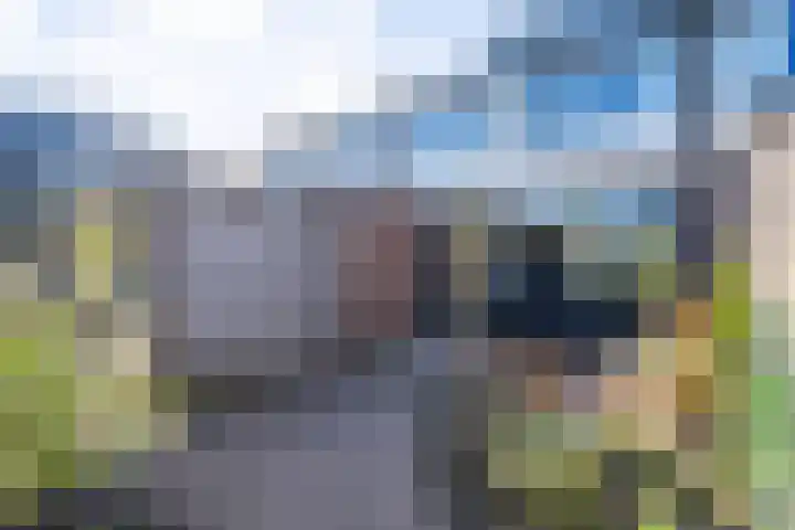 Roerdompstraat 4 Ten Boer thumbnail 29