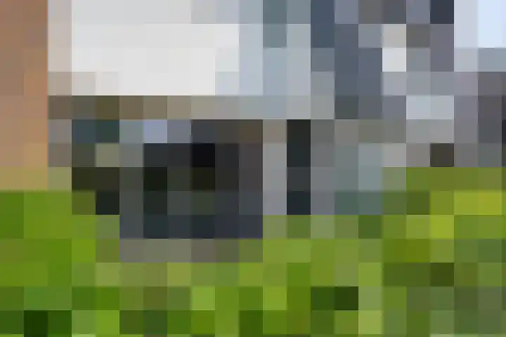 Roerdompstraat 4 Ten Boer thumbnail 35