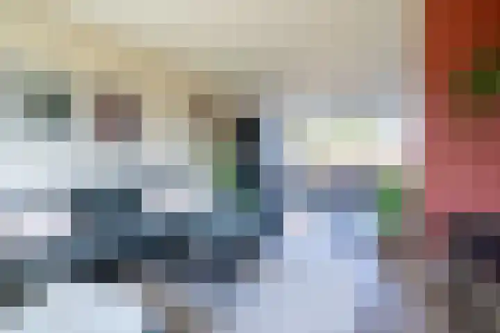 Roerdompstraat 4 Ten Boer thumbnail 8