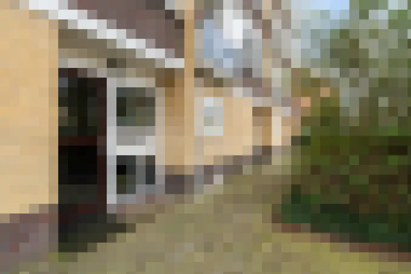 Roerdompstraat 40 Alphen aan den Rijn thumbnail 5
