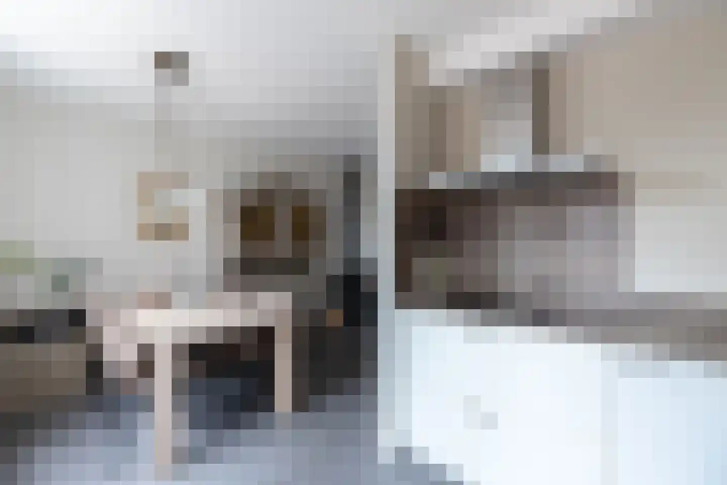 Roerdompstraat 48 Groot-Ammers thumbnail 11
