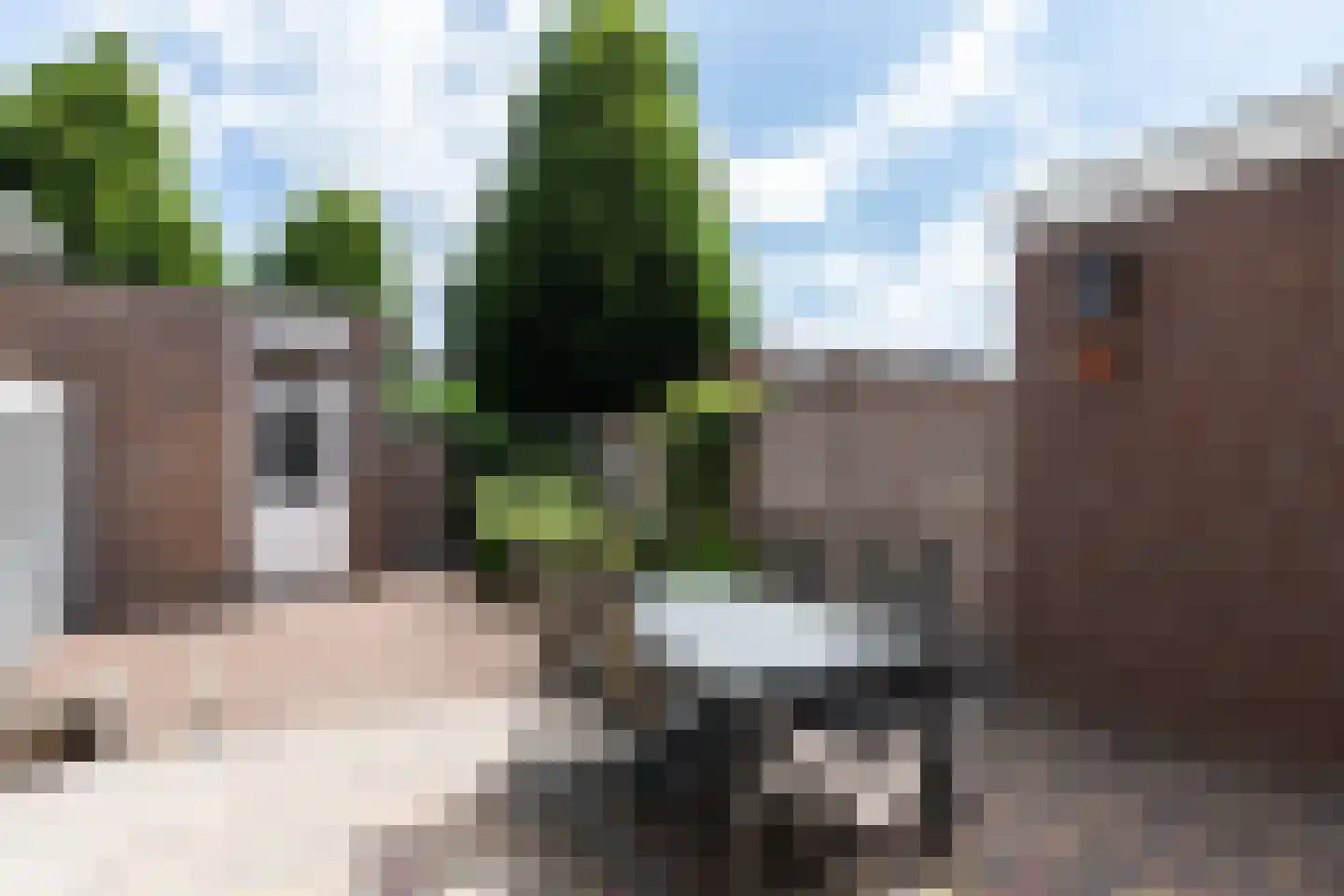 Roerdompstraat 48 Groot-Ammers thumbnail 22
