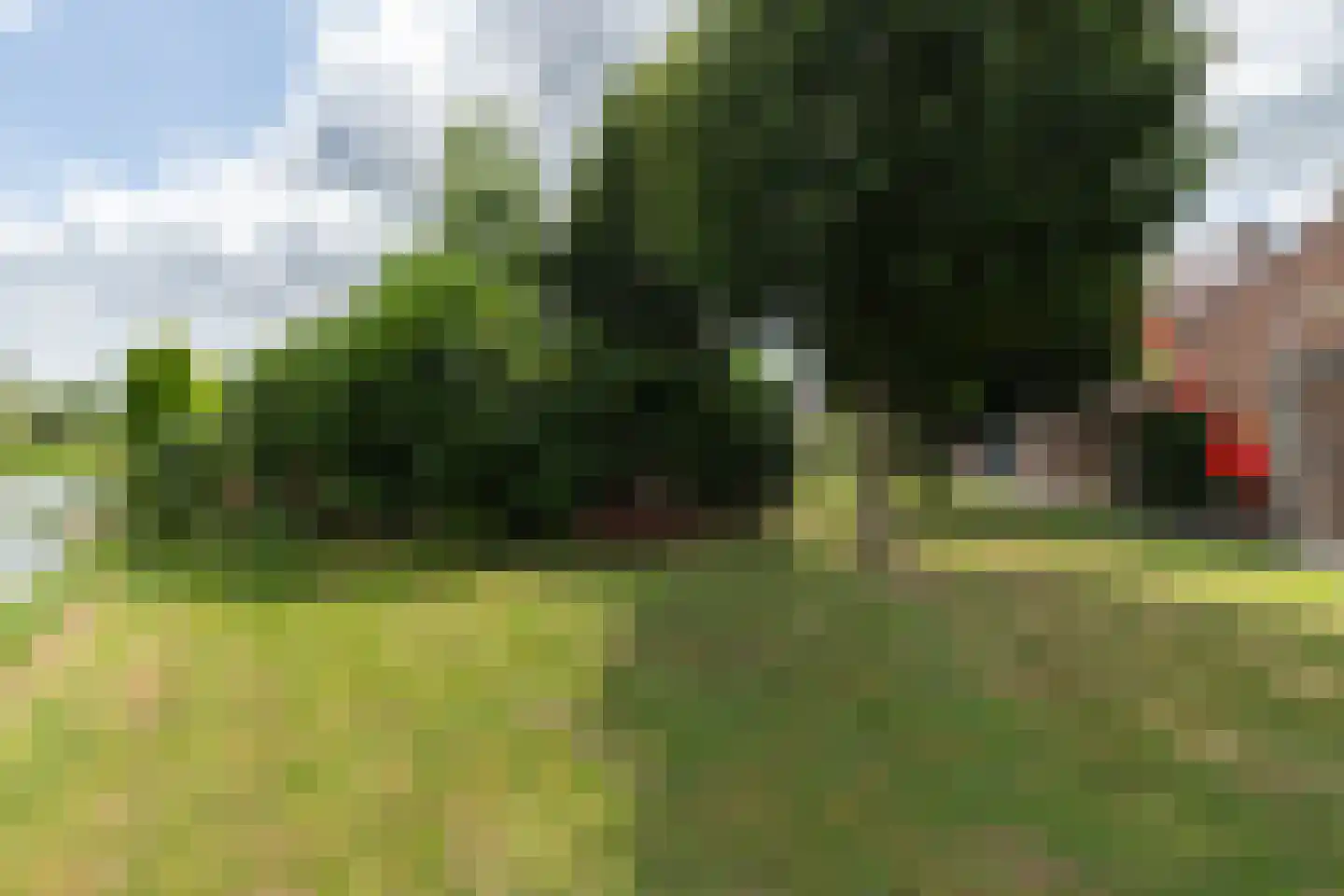 Roerdompstraat 48 Groot-Ammers thumbnail 27
