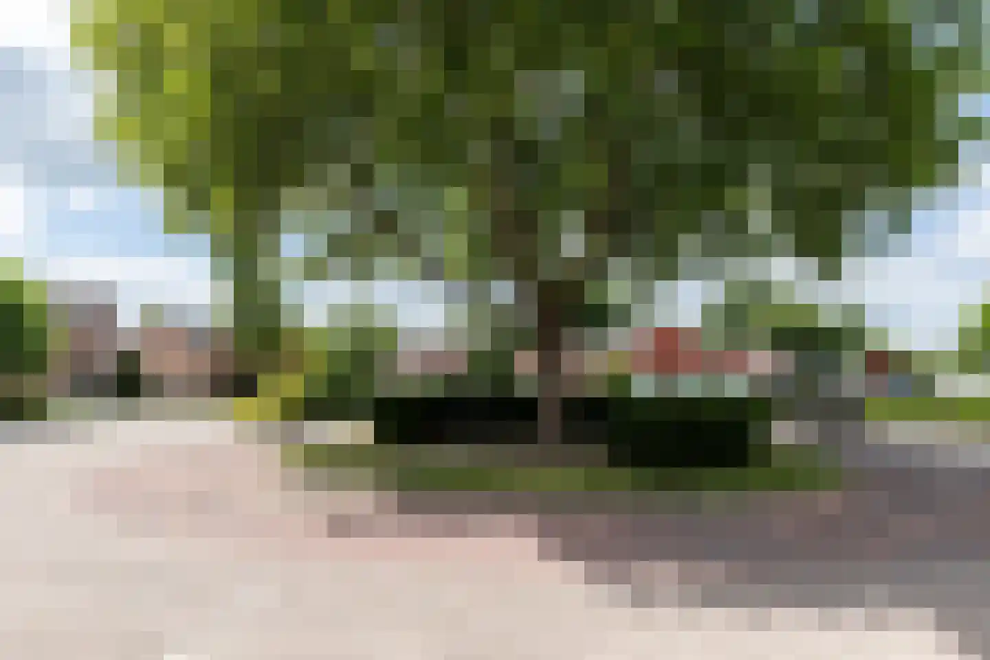 Roerdompstraat 48 Groot-Ammers thumbnail 30