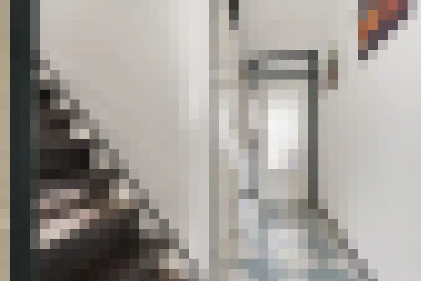 Roerdompstraat 49 Wormer thumbnail 12