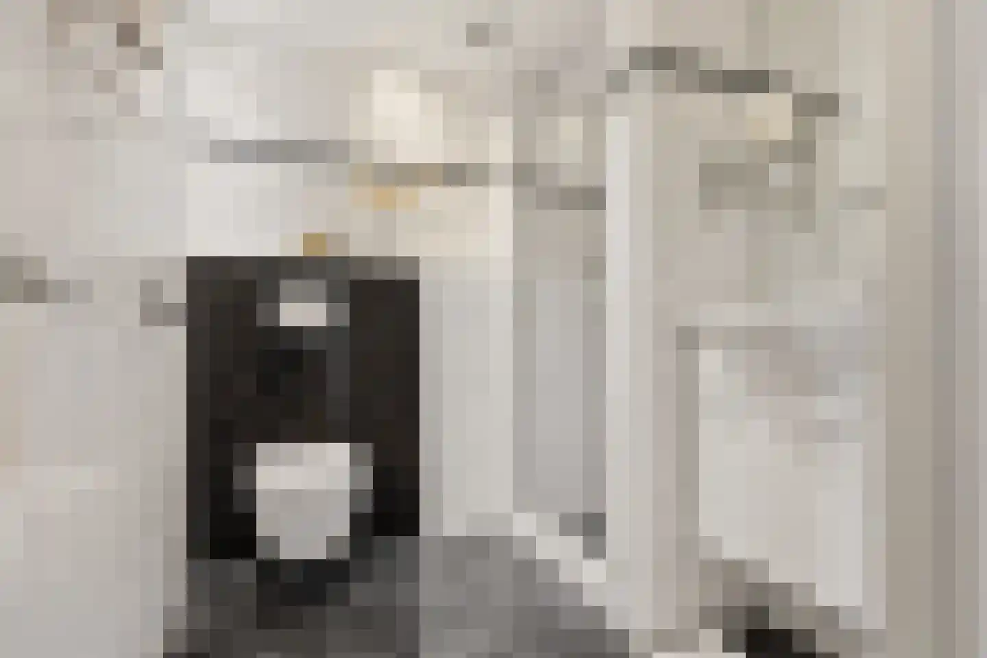 Roerdompstraat 49 Wormer thumbnail 23