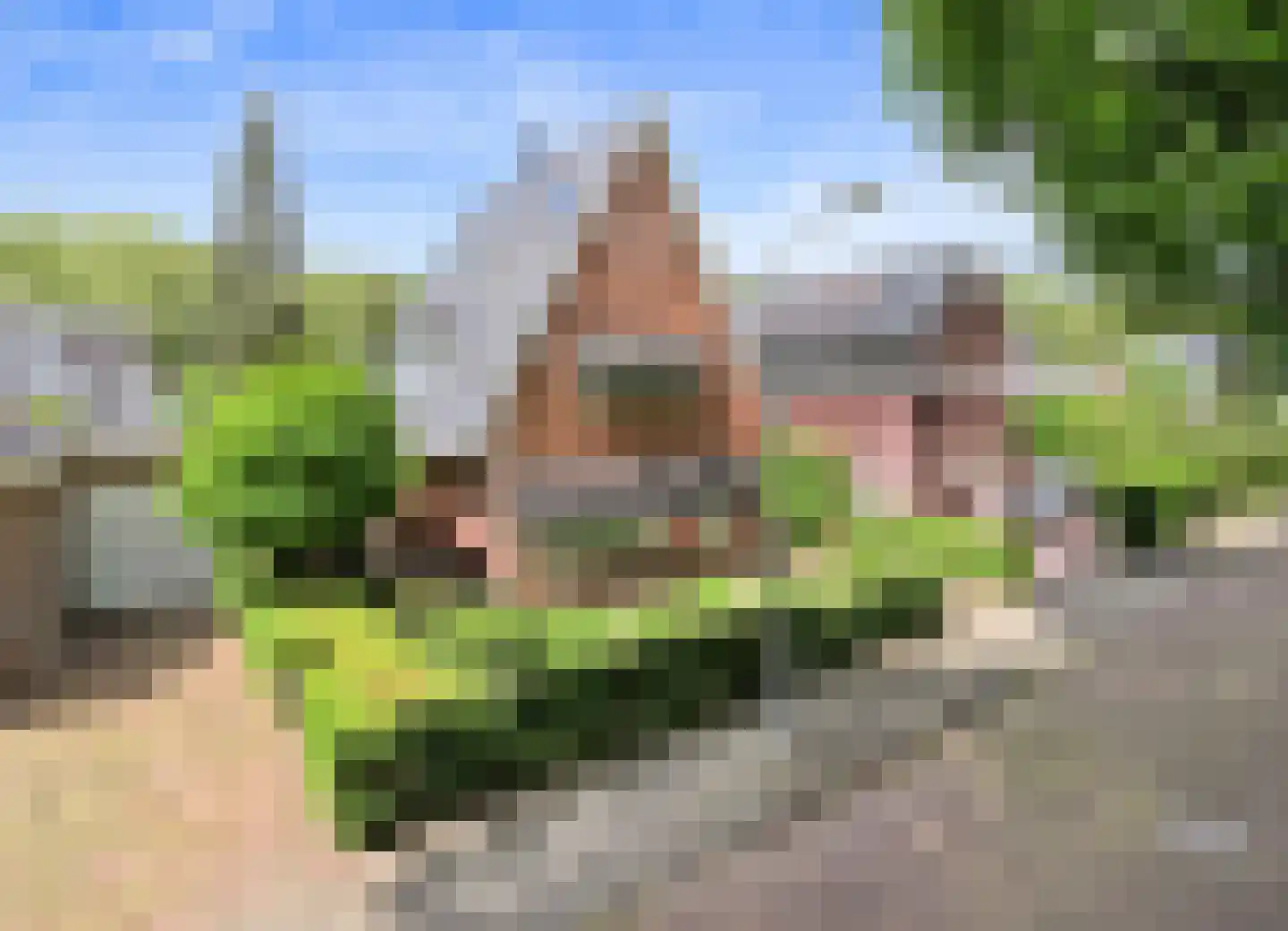 Roerdompstraat 5 Badhoevedorp thumbnail 13