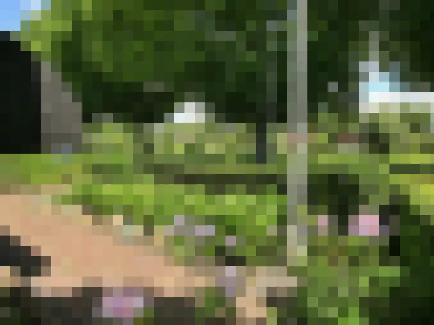 Roerdompstraat 5 Badhoevedorp thumbnail 68