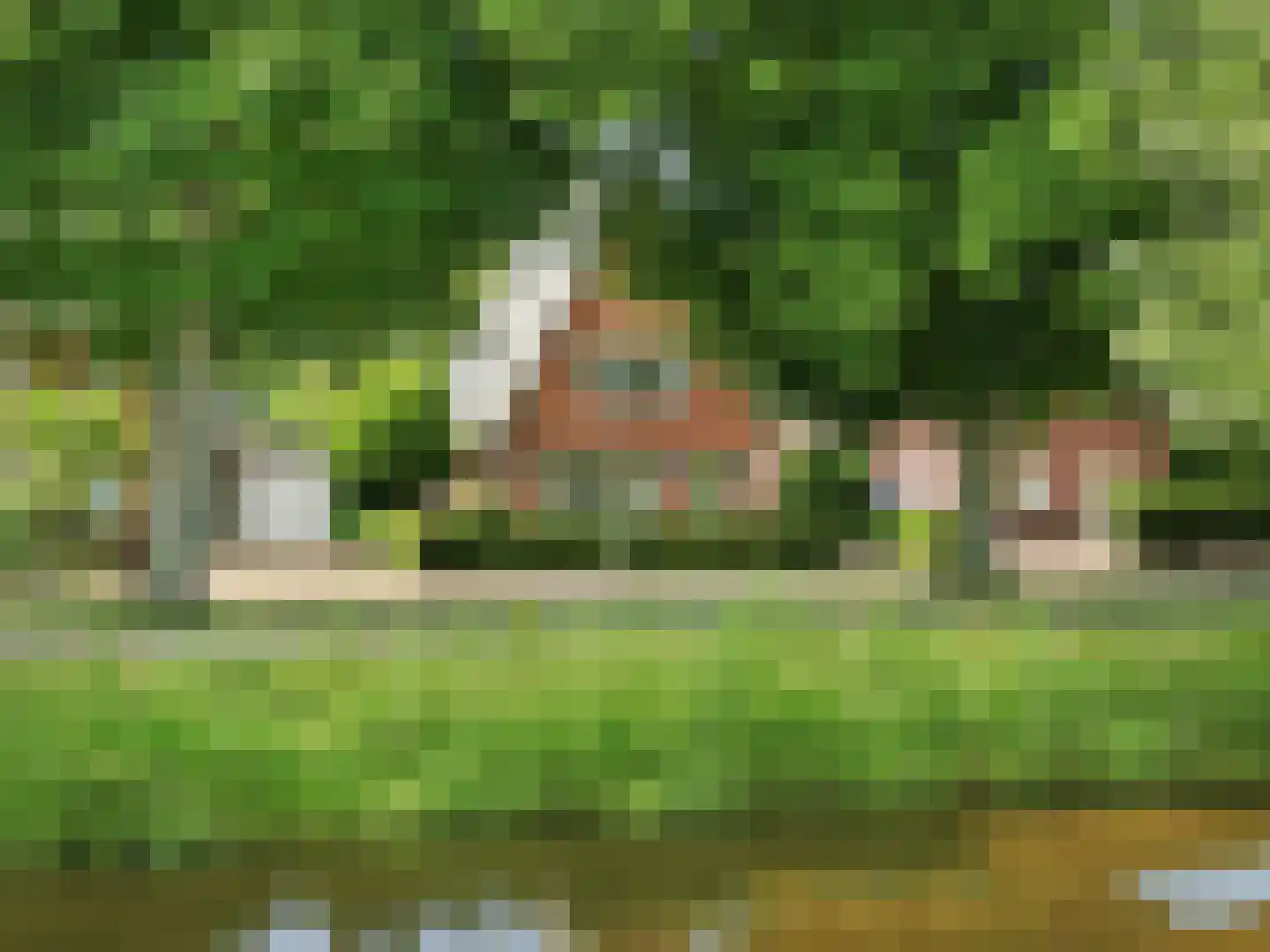 Roerdompstraat 5 Badhoevedorp thumbnail 72