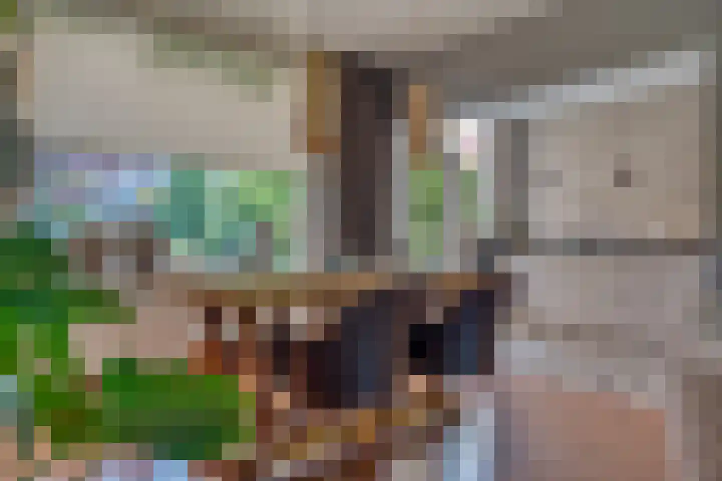 Roerdompstraat 50 Zwijndrecht thumbnail 11