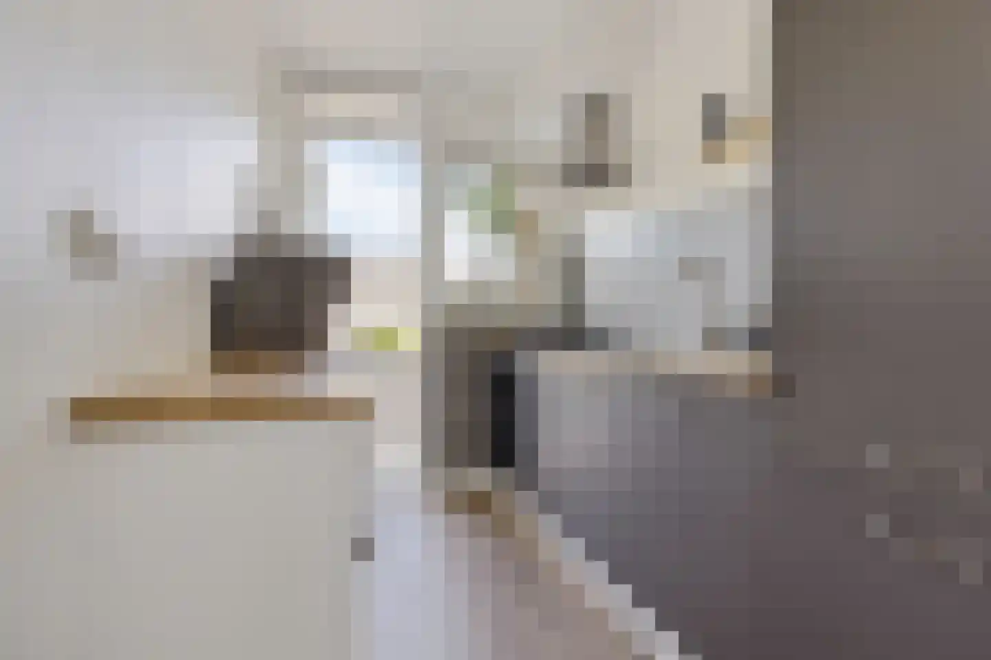 Roerdompstraat 52 Alphen aan den Rijn thumbnail 20